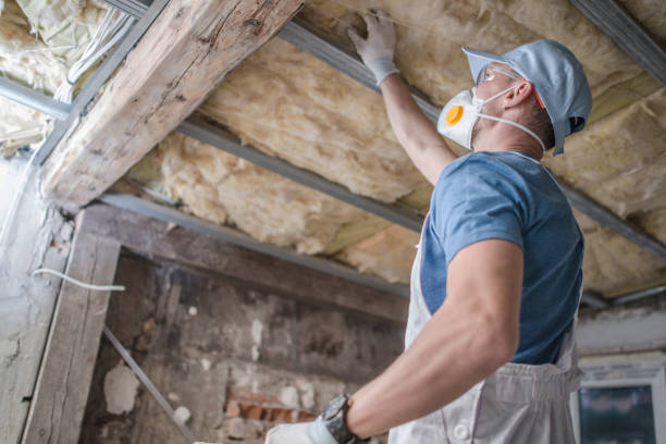 Best Insulation for Specific Applications in Claryville, KY