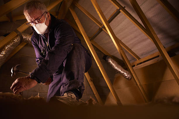Best Eco-Friendly Insulation in Claryville, KY